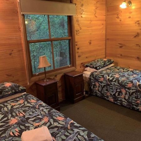 Springbrook Mountain Chalets Kültér fotó