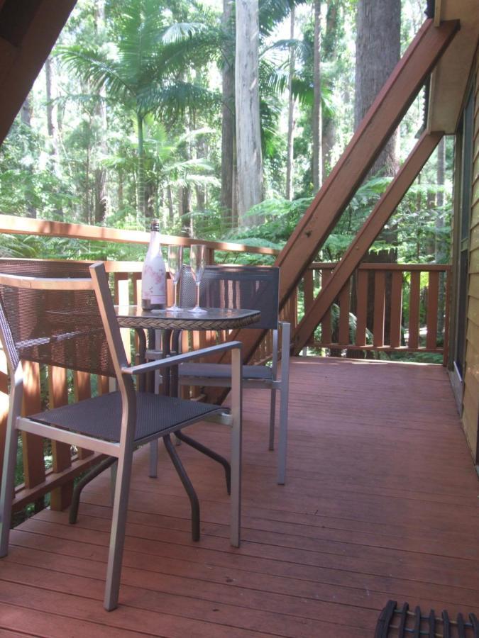 Springbrook Mountain Chalets Kültér fotó