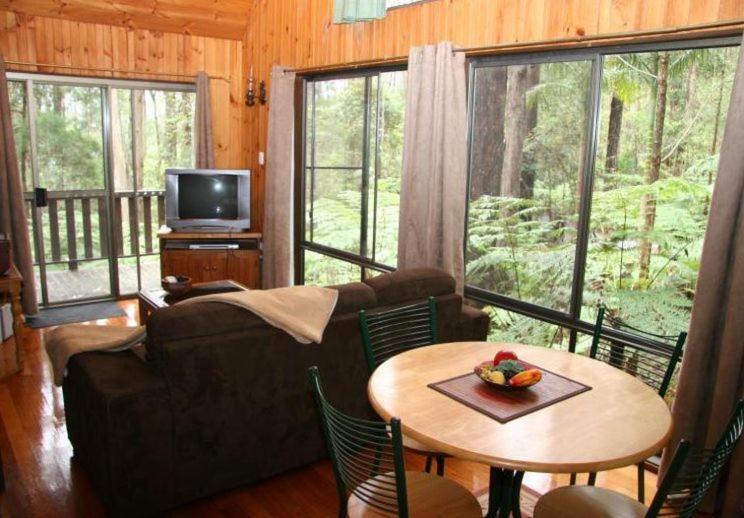 Springbrook Mountain Chalets Szoba fotó
