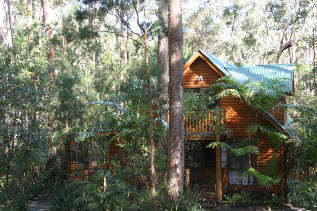 Springbrook Mountain Chalets Szoba fotó