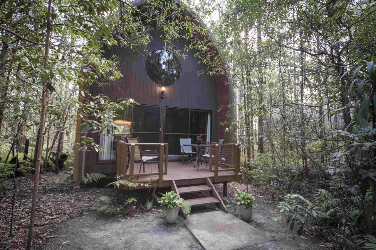 Springbrook Mountain Chalets Szoba fotó