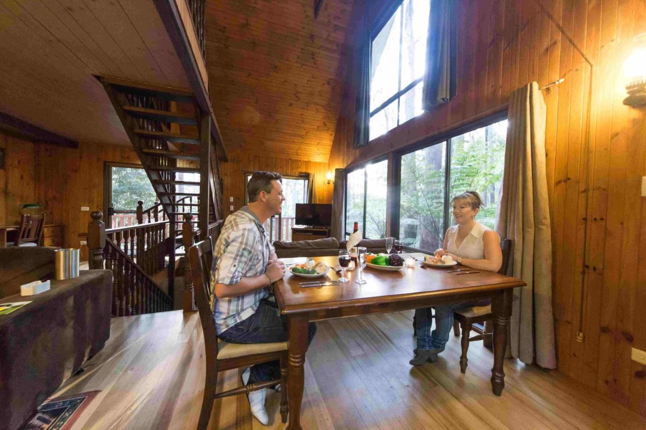 Springbrook Mountain Chalets Kültér fotó