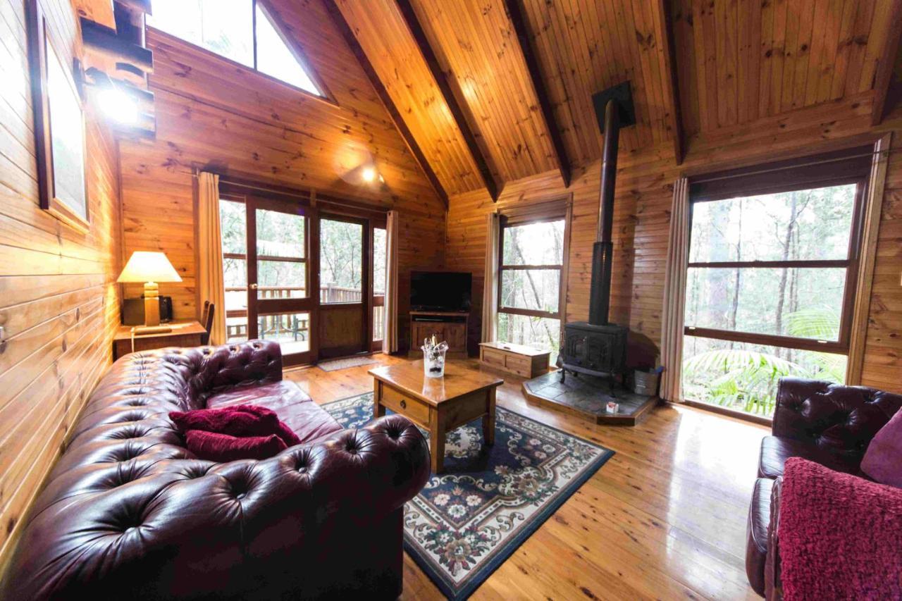 Springbrook Mountain Chalets Kültér fotó